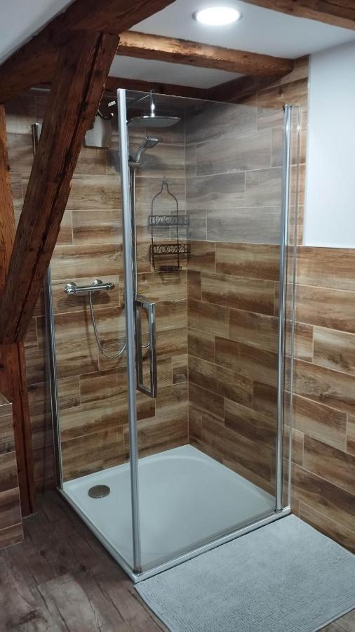 Apartman Albreit 2 Jachymov Bagian luar foto